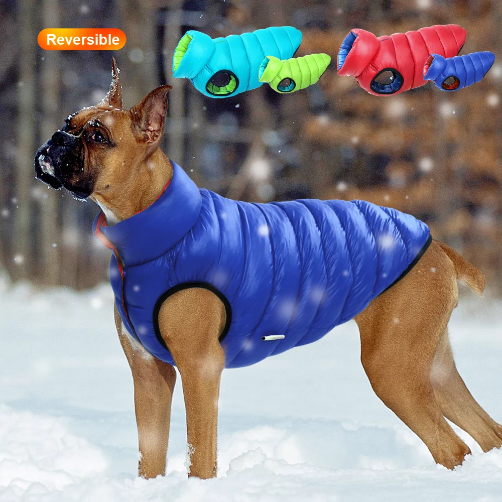 Sıcak Kış Köpek Giysileri Yele - Winter Clothing Layers incelemesi ve fiyatı